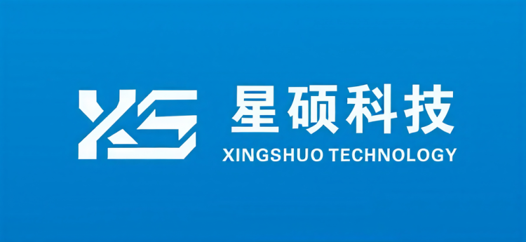 Ningbo Xingshuo Technology Co., Ltd. logo