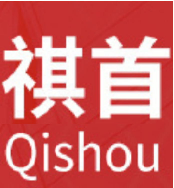 Hebei Qi Shou Automotive Parts Co., Ltd. cover