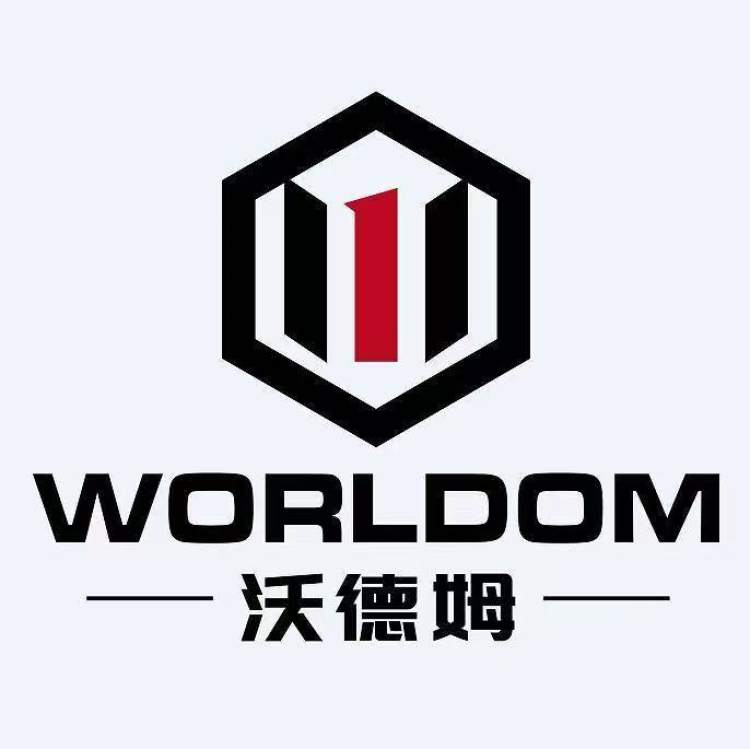 Ningbo Worldom Auto Parts Co., LTD cover