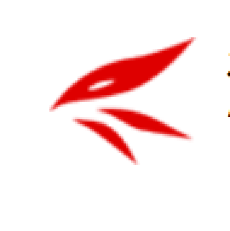 Hebei Shuangya Automotive Parts Co., Ltd cover