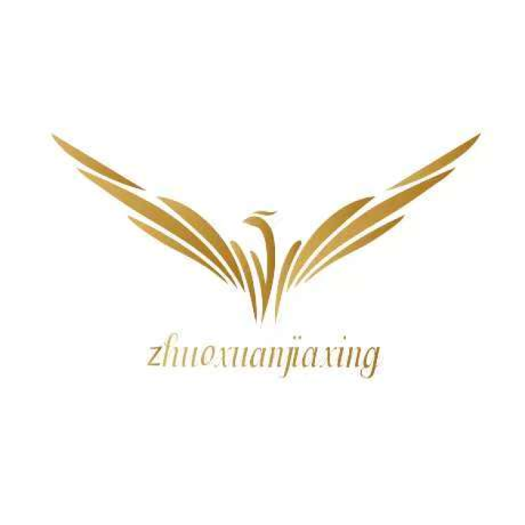 Wuhan Zhuo Xuan Jiaxing Technology Co. , Ltd. logo