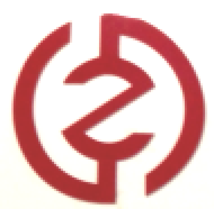 Ruian Lizuo Automotive Parts Co., Ltd. logo