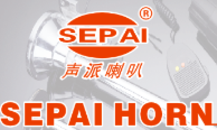 Wenzhou Shengpai Auto Parts Co., LTD cover