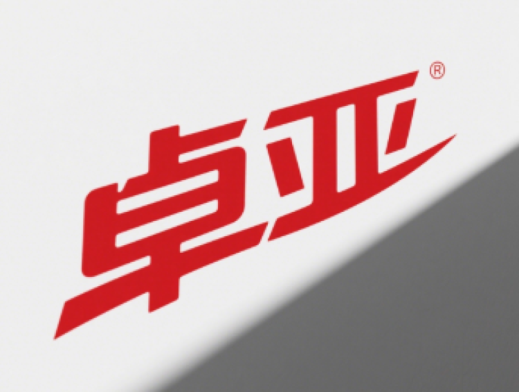 诸暨市卓亚汽车零部件有限公司 cover