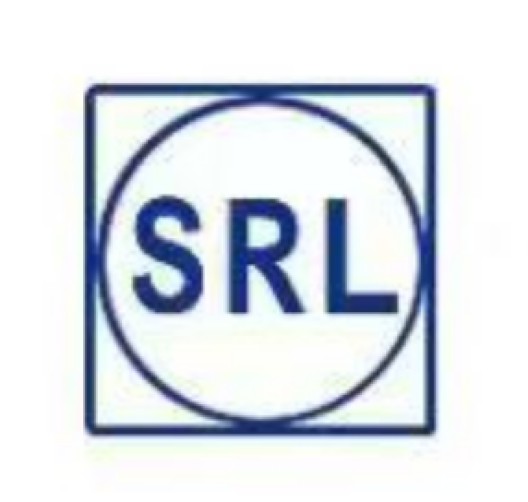 河间市瑞林汽车零部件有限公司 logo