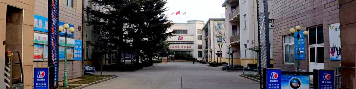 山东康达精密机械制造有限公司 cover