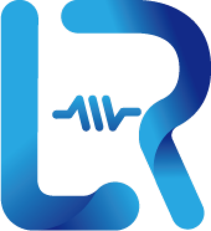 Shanghai Lirui Spring Co., Ltd. logo