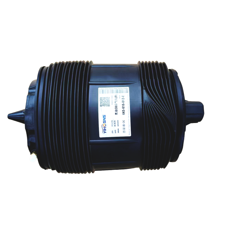 Rear air spring
