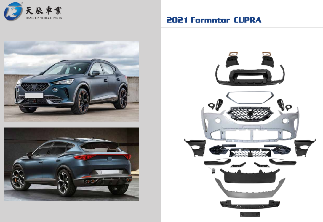 2021 Formntor Cupra