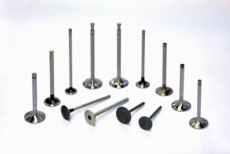 Engine Valves