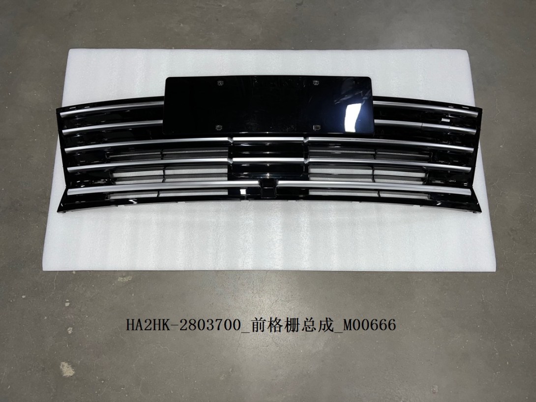 Front Grille Assembly