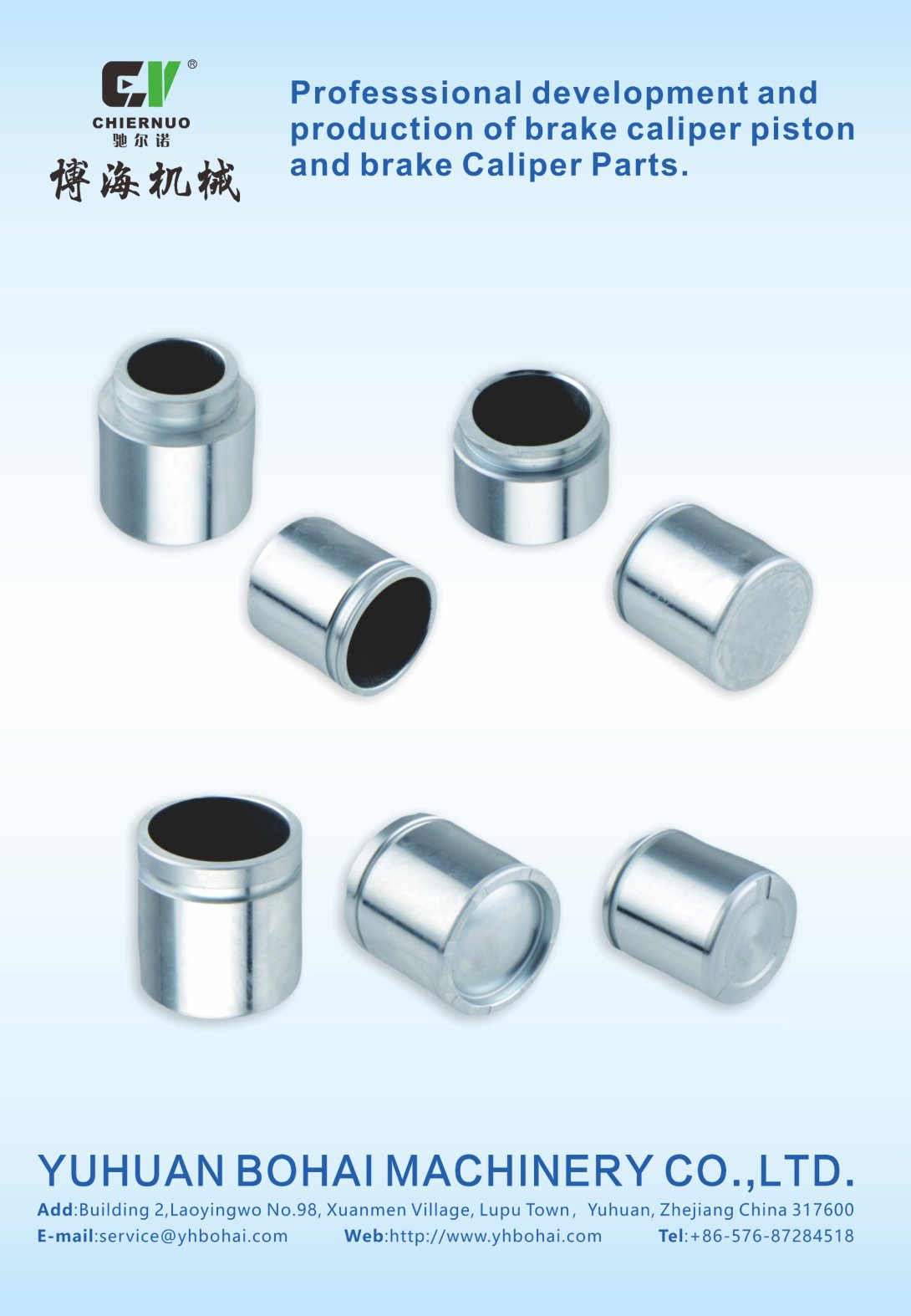 caliper piston