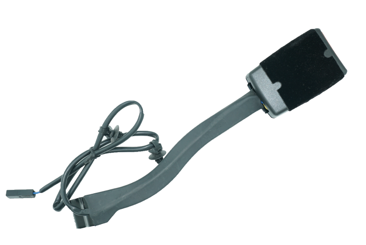 Seat Belt Buckles