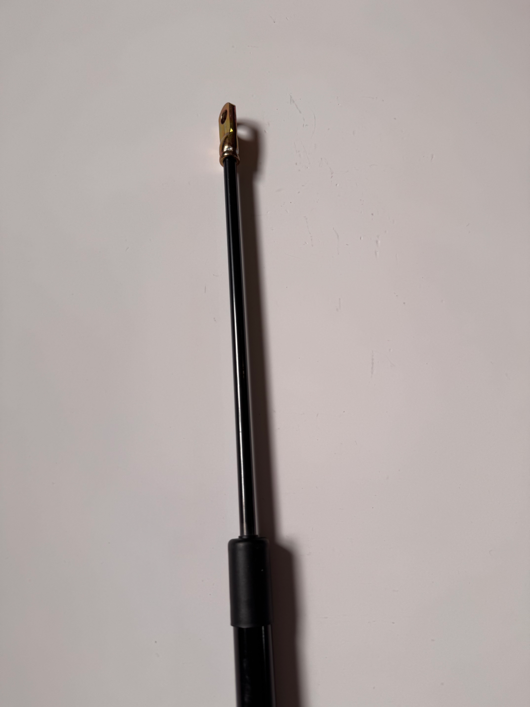Luggage Gas Strut