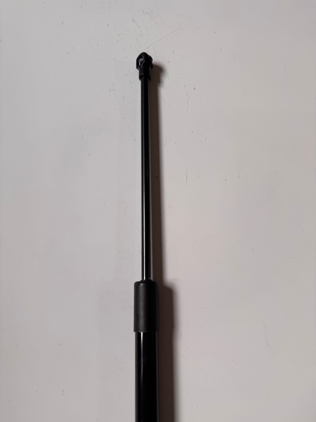 Luggage Gas Strut