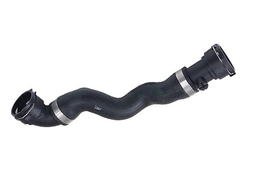 Rubber Hose