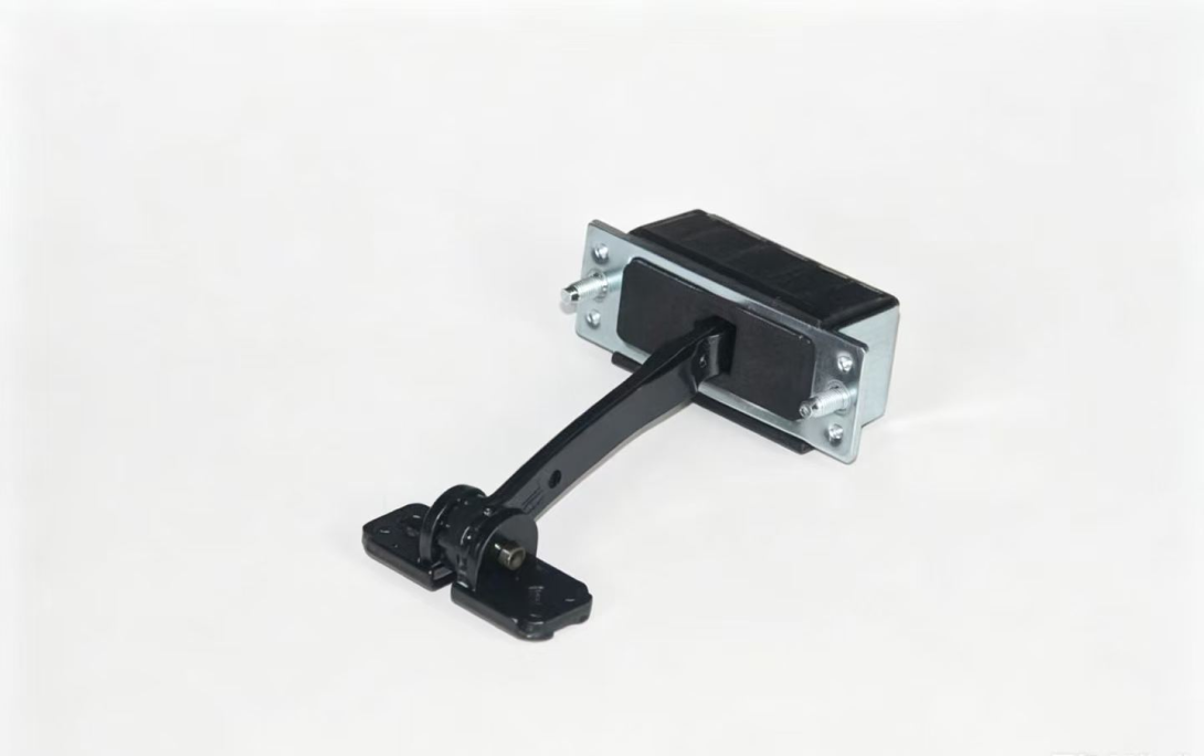 Door Check Assembly