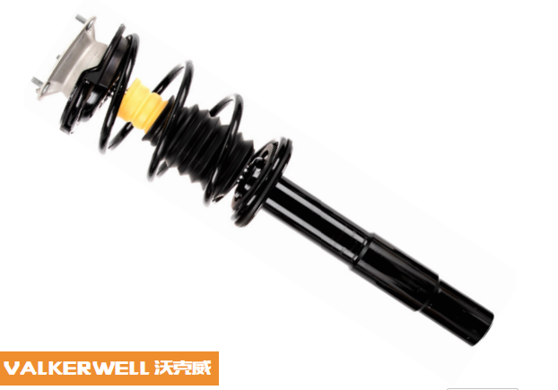 Assembly Shock Absorber