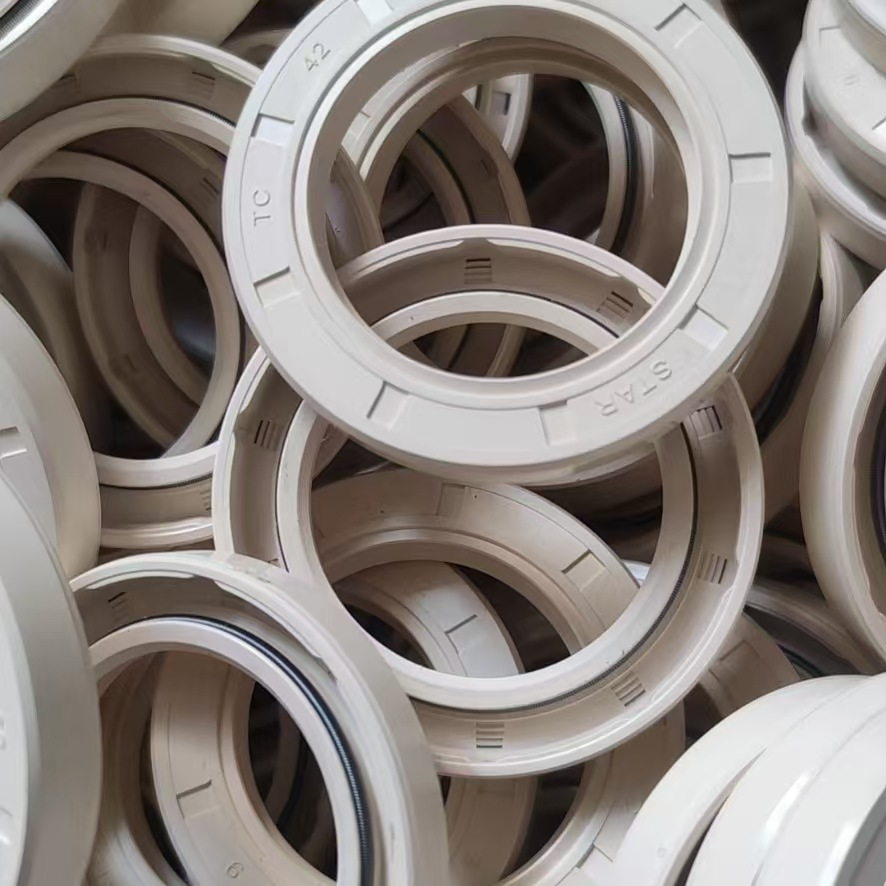 oil seal