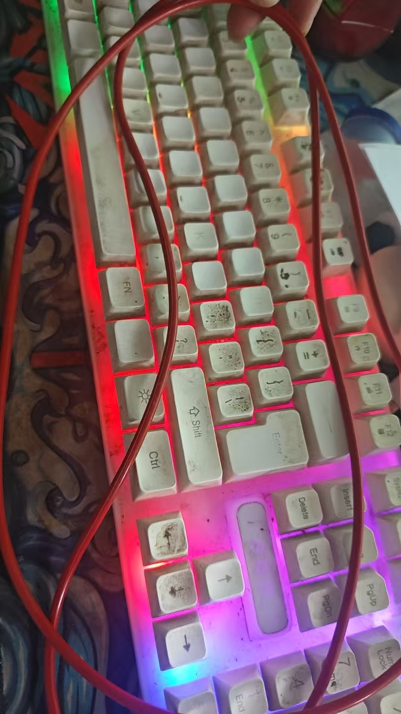 O-ring