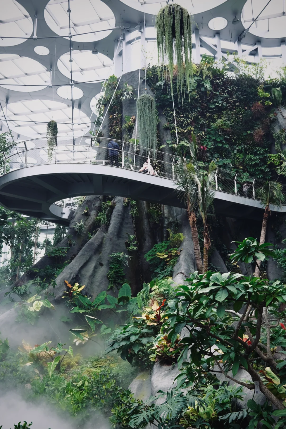 Visit Shanghai During APES 2026 – City Guide for Exhibition Visitors